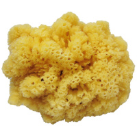 Sea Sponge Extra Large (12-14 inches)