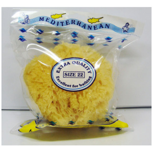 Sea Sponge-size 22